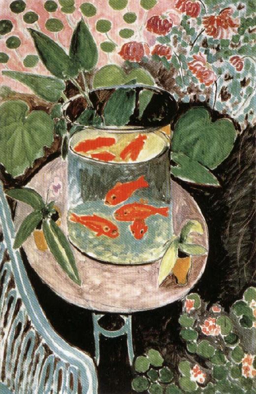  Goldfish